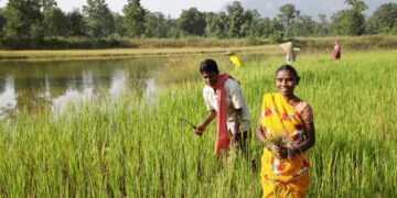 BALCO transforming the lives of farmers in the vicinity