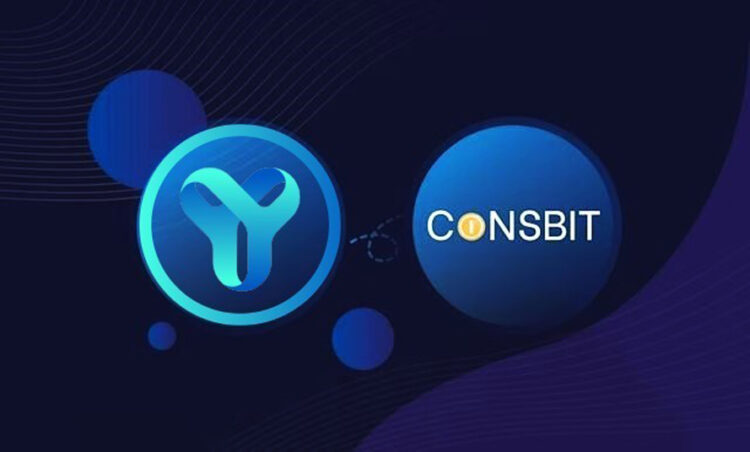 YES WORLD Token is TOP Gainer, Up 4900 % in just 24 hours! Highest Volume for a newly listed Token