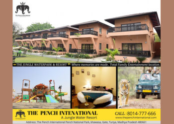 Discovering Wilderness Luxury: The Pench International Resort