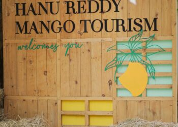 The Great Mango Festival Returns – A Sweet Celebration of Summer