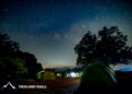 Treks and Trails Lights Up Maharashtra with Fireflies Festival 2025: A Journey into Nature, Community, and Conservation