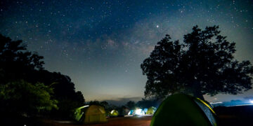 Treks and Trails Lights Up Maharashtra with Fireflies Festival 2025: A Journey into Nature, Community, and Conservation