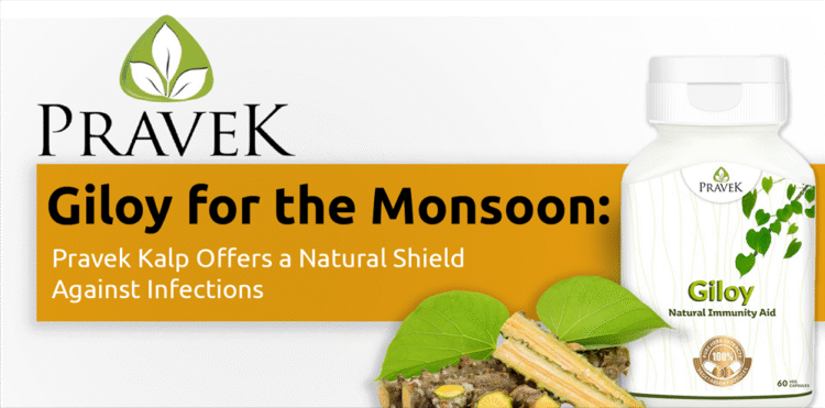 Giloy for the Monsoon: PravekKalp Offers a Natural Shield Against Infections