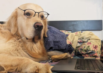 Mars Grumpy – Winner of the 21st Century Emily Dickinson Award