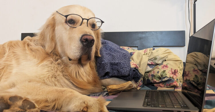 Mars Grumpy – Winner of the 21st Century Emily Dickinson Award