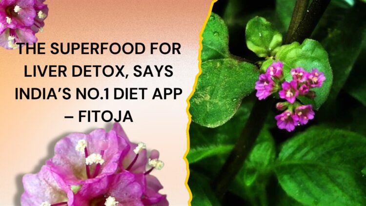 Punarnava: The Ayurvedic Herb Backed by India’s No.1 Diet App for Powerful Liver Detox