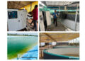 Prasinos Tech Innovations to Showcase Nanobubble Technology at Aquaex India 2025 – Powering the Next Wave of India’s Blue Revolution