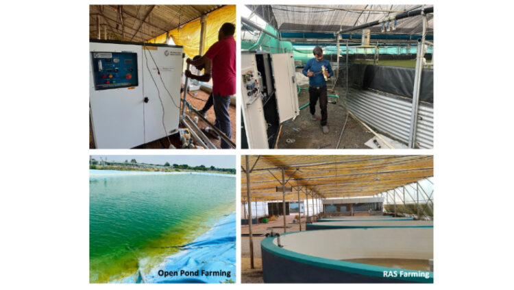 Prasinos Tech Innovations to Showcase Nanobubble Technology at Aquaex India 2025 – Powering the Next Wave of India’s Blue Revolution