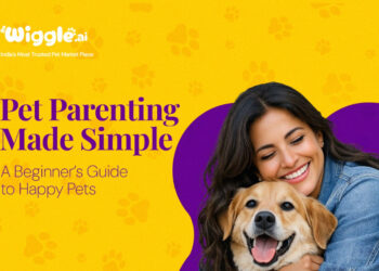 Pet Parenting Made Simple: A Beginner’s Guide to Happy Pets